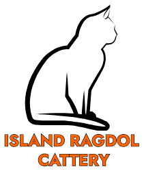islandragdolls.com